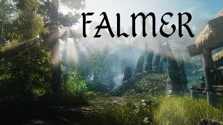 No FALMER This Week