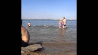 Андрей бежит в воду