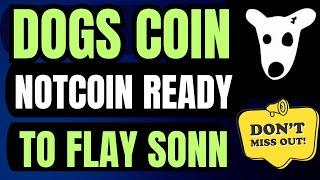 Notcoin and Dogs Price Prediction Today - Ton Coin Next Move Today - Dogs New Update Today