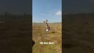 Great One runs right past me! theHunter: Call of the Wild