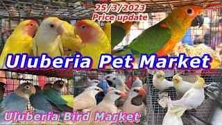 Recent Exotic Bird Price Update ,Uluberia Bird  MARKET,Today Cheapest price Bird Market.25/03/2023