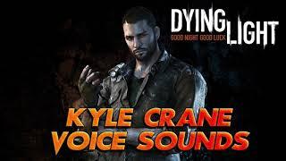 Dying Light: Kyle Crane All Voice Sounds