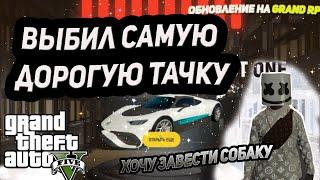 СОБАКИ, ОТЕЛЬ, КОНТЕЙНЕРЫ В ГТА5РП. ВЫБИЛ САМУЮ ДОРОГУЮ ТАЧКУ НА GRAND RP. ОБНОВЛЕНИЕ НА GRAND