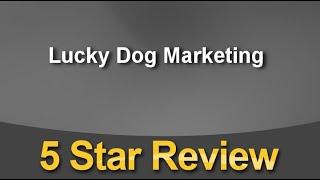 Lucky Dog Marketing Arlington Amazing Five Star Review by Ruth Gordon