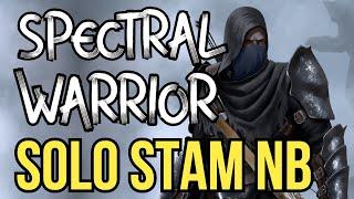 Stamina Nightblade SOLO PVE Build - SPECTRAL WARRIOR - ESO Scalebreaker