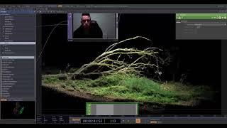 Making of OVERTHROWN (3D photogrammetry renders of trees in Touchdesigner)