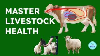  Understanding Livestock Diseases: A Comprehensive Guide 