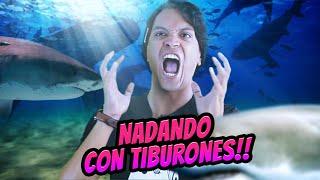 Ataque de Tiburones!