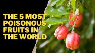 THE 5 MOST POISONOUS FRUITS IN THE WORLD