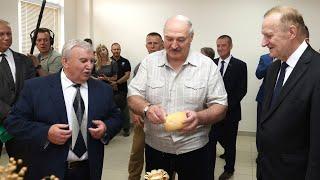 Лукашенко: специалисты говорят, что ты не кормил скот! #лукашенконовости #лукашенко #президент