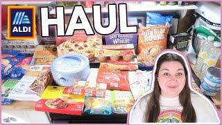 MORE NEW FINDS AT ALDI | 1 Week Grocery Haul & Meal Plan | ALDI HAUL