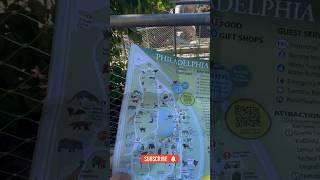 Philadelphia zoo  . Part 2 #philadelphiazoo #philadelphia #america #indonesia #subscribe