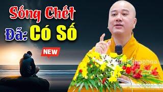 Sống Chết Đã Có Số NGHIỆP Đến Không Ai Tránh Khỏi Được - Vấn Đáp Thầy Thích Pháp Hòa