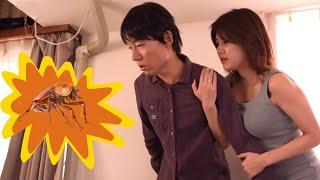 Suzume Mino | My Neighbor is Afraid of Cockroaches! | A Hilarious Romantic Comedy Twist