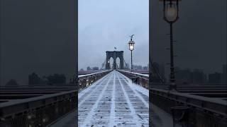 Magical NYC Winter Moments. Throwback Videos in Honor of the Snowstorm in NYC Today #shorts