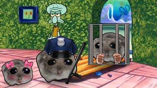 Squidward kicks Sad Hamsters out of his House