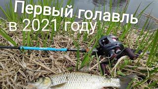 Первый Голавль 2021 открытие сезона на мульт  тест JOHNCOO Vivid C632UL и Daiwa Pixy PX68