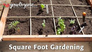 Using a Square Foot Garden to Maximize Space