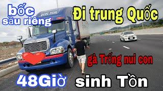 48Giờ sinh Tồn-chỡ sầu Riêng Đi Trung Quốc-Đón bác Tài gà Trống nui con Tinh thần Thép