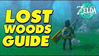 LOST WOODS GUIDE ZELDA: TEARS of the Kingdom | Legend of Zelda Tears of the Kingdom Gameplay #TOTK