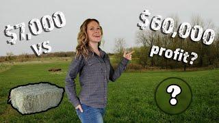 How THIS Crop Makes $60,000 PER ACRE and WHY We Switched  - Big Gamble on a First Generation Farm