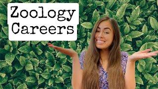 Zoology Degree Career Paths - what can you do with your degree?