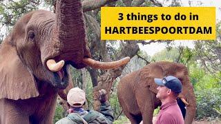 3 things to do in HARTBEESPOORTDAM!