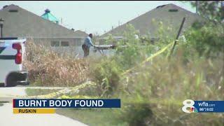 ‘A jarring scene’: Burning body found in Hillsborough County field