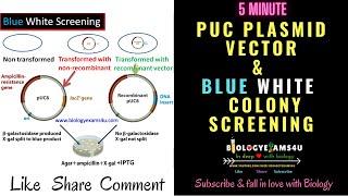 pUC Vector: Features, Selectable Markers || How Blue White Recombinant Screening works? Explained