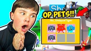 OP player give me BEST PETS in SABER SIMULATOR!