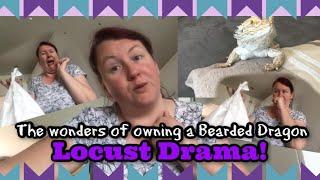 Locust Drama! - The wonders of owning a Bearded Dragon!