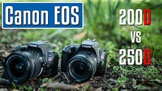 Canon EOS 250D vs EOS 200D | welche ist die beste Einsteigerkamera? Test (deutsch)