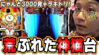 【新台最速】1/155で当るのに荒神猫台にゃーーーーー！！【Pにゃんこ大戦争 多様性のネコ】【日直島田の優等生台み〜つけた】[パチンコ][スロット]#日直島田