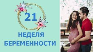 21 Неделя Беременности. Развитие плода и ощущения мамы