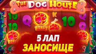 5 ЛАП 2 РАЗА ПОДРЯД! ЛОВЛЮ ЗАНОСЫ В THE DOG HOUSE MEGAWAYS!