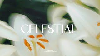 (Free)  PARTYNEXTDOOR X TRAPSOUL x R&B Type Beat ~ "celestial | Instrumental 2024