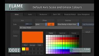 Flame Capsule 001 - Default Axis Scale and Gmask Colours - Flame 2021