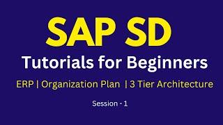 SAP SD Tutorials For Beginners | What is ERP? | Organization Plan | 3 Tier Architecture Tutorial