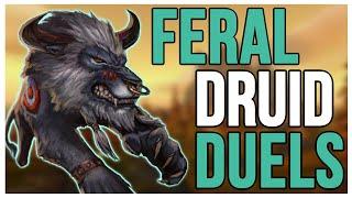 FERAL DRUID PvP DUELS 1V1 - WARMANE 3.3.5 PVP WotLK Classic(Tips) 2022