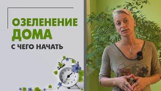 Озеленение дома и озеленение квартиры. С чего начать?