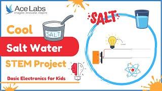 Cool Salt Water STEM Project | Basic Electronics Series | Acelabs | DIY | BECK