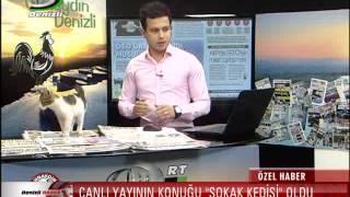 CANLI YAYININ KONUĞU 'SOKAK KEDİSİ' OLDU