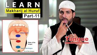 Articulation Points of Arabic Letters | Learn Makharij al Huruf with Shaykh Ismail Al-Qadi | Part 11