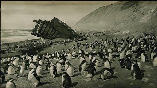 Почему скрывают правду о невероятной находке в Антарктиде. 1903 год
