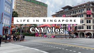 Life in Singapore | international buffet, hotpot, chinese new year and mbs dragon drone show #vlog