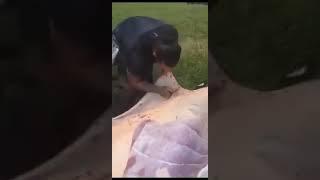 How To Skin A Animal