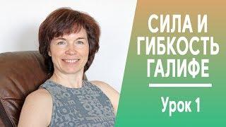 #251 Галифе и тазобедренные суставы. Гибкость и сила. Урок 1.