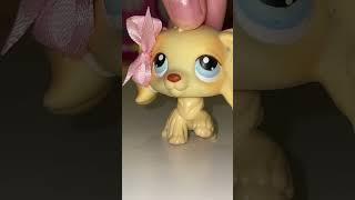 Кажись я постарел #littlestpetshop #lps #лпс #петшопы #петы