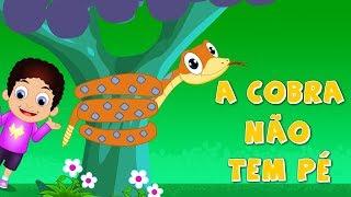 A cobra não tem pé - 30 Minutos de Música Infantil - Canções Populares