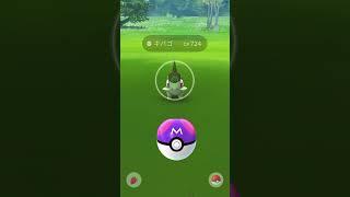 【ポケモンGO】キバゴが激レアだった時代にマスターボールがあったら…【雑コラ】#shorts